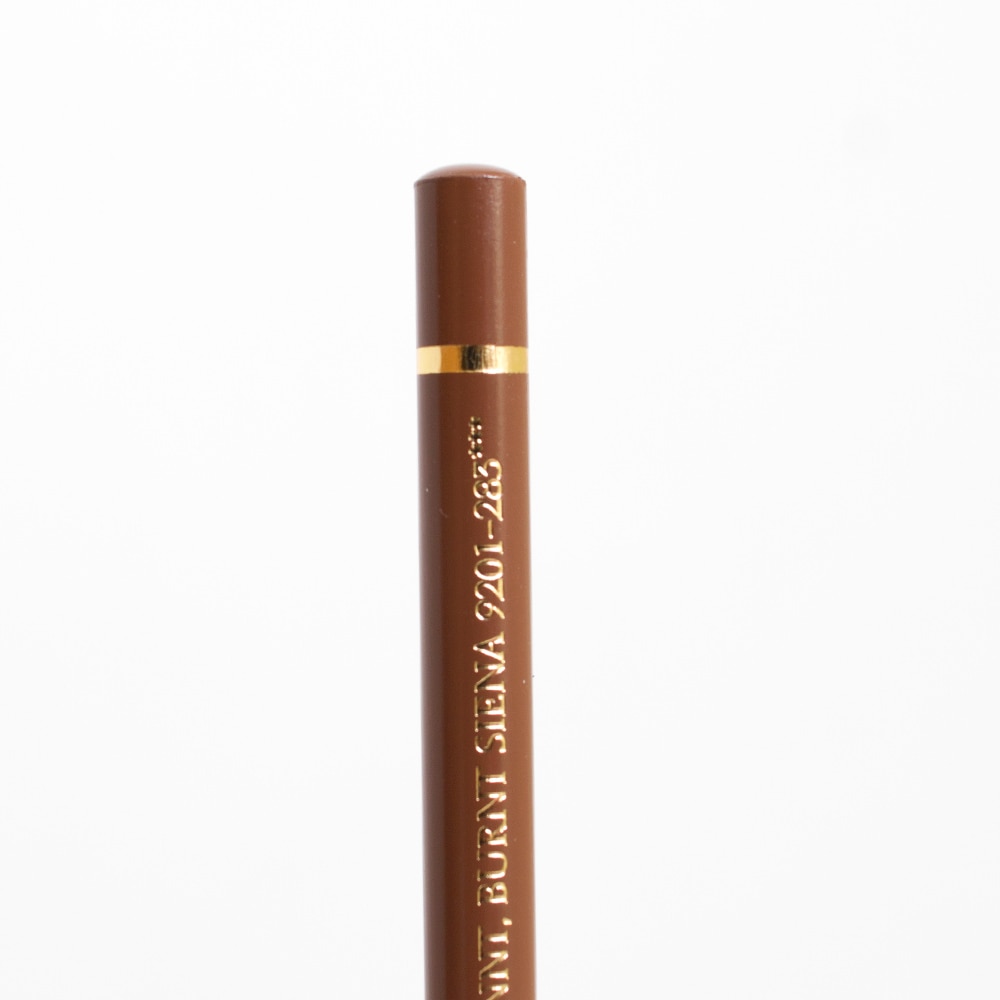 Faber-Castell, Colored Pencils, Art & School, Polychromos, 31078, Burnt Sienna